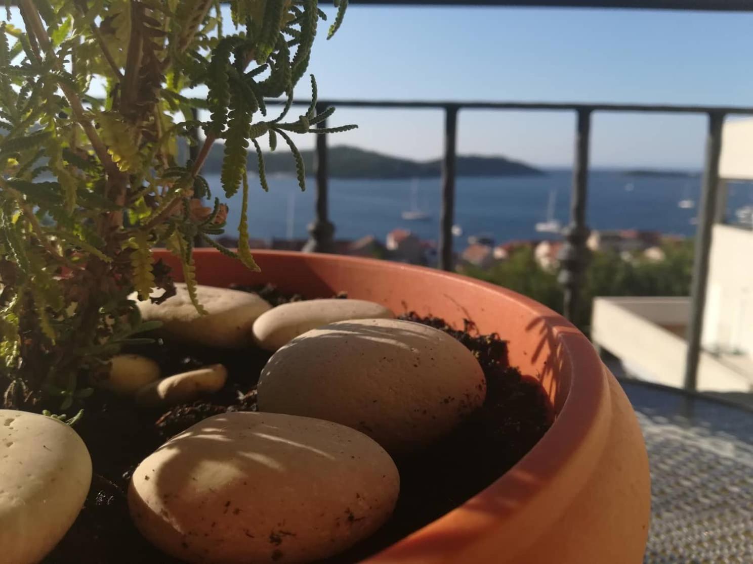 וויס A Lovely And Cozy Room With A Breathtaking View מראה חיצוני תמונה